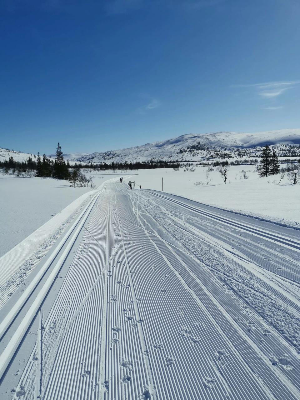 Haukåtjern Hyttegrend, bilde 4