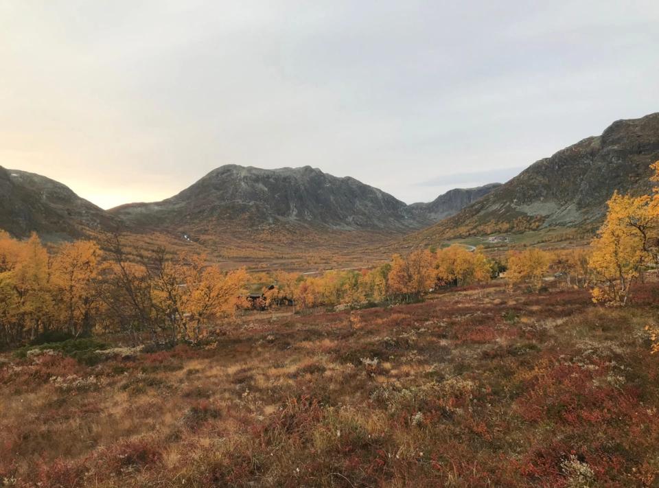 Hestehaugane Hemsedal, bilde 4