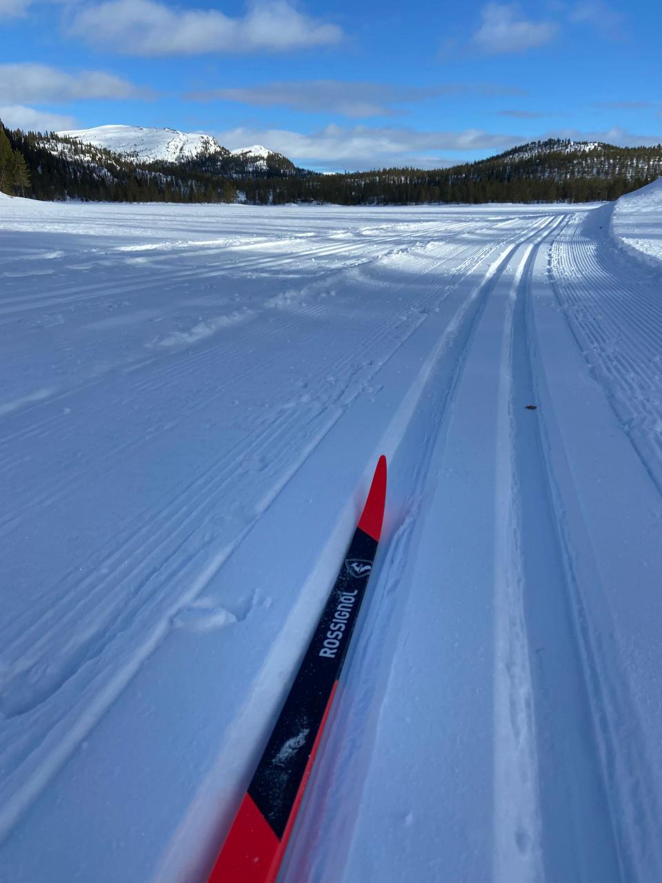 20 meter fra vann på Søtelifjell, bilde 3