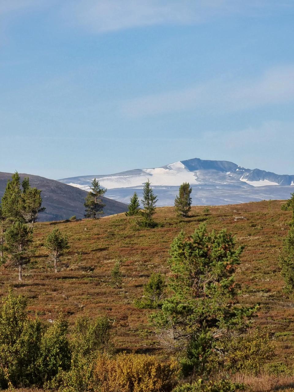 Bringsfjellet Panorama, bilde 5