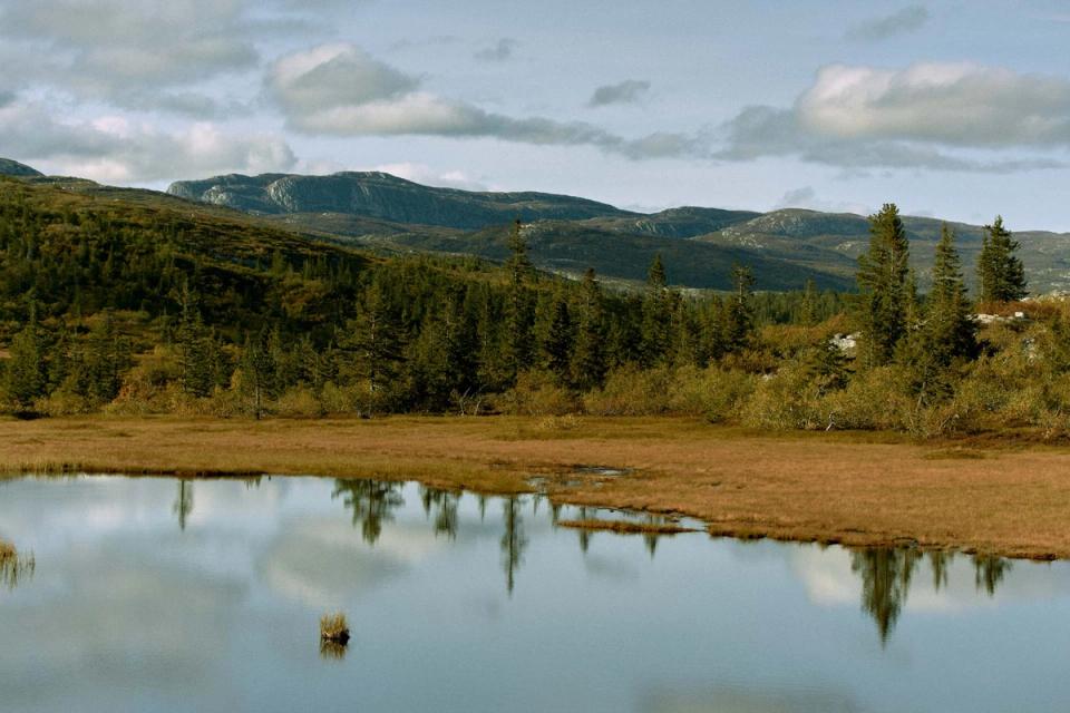 Blefjellporten, bilde 3
