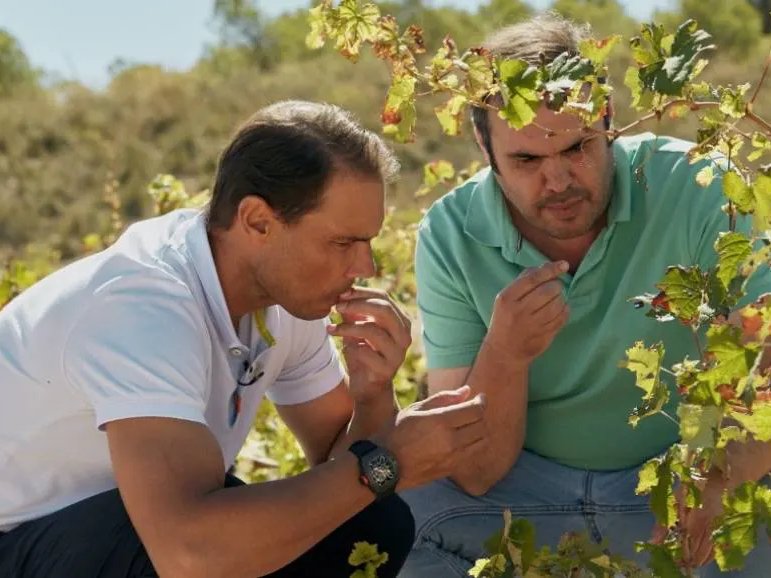 Rafael Nadal tastes grapes