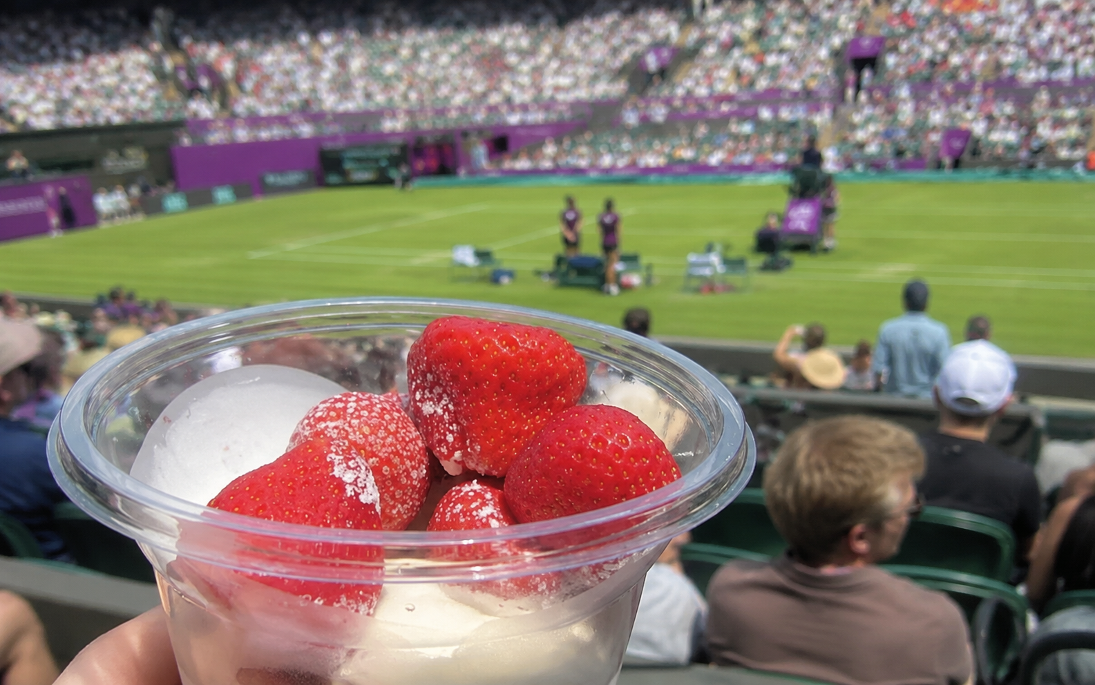 Wimbledon 2026: il tabellone che premia chi arriva intero, non chi arriva in forma