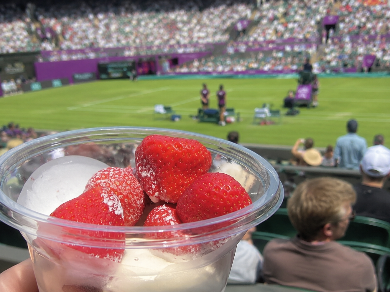 Wimbledon 2026: il tabellone che premia chi arriva intero, non chi arriva in forma