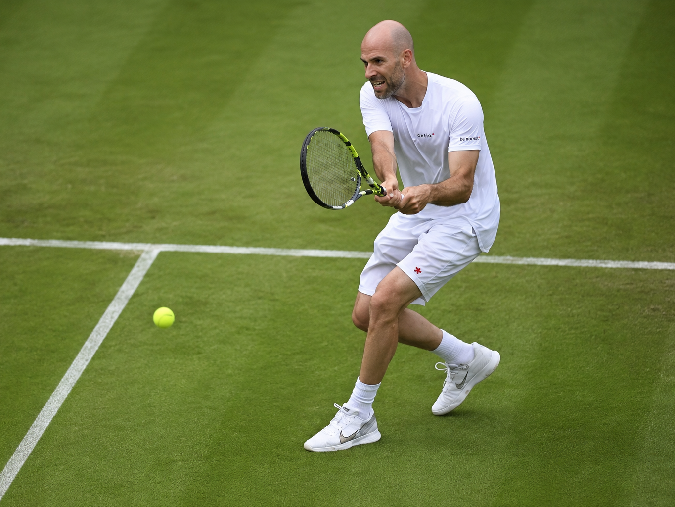 Magische Tipps, Wimbledon 2026: die Auswahl von Ace Cream und DnaDaTennis