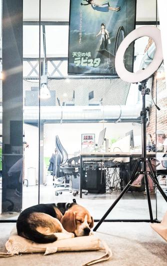 Salle de réunion équipée au coworking laBarak, vidéoprojecteur disponible