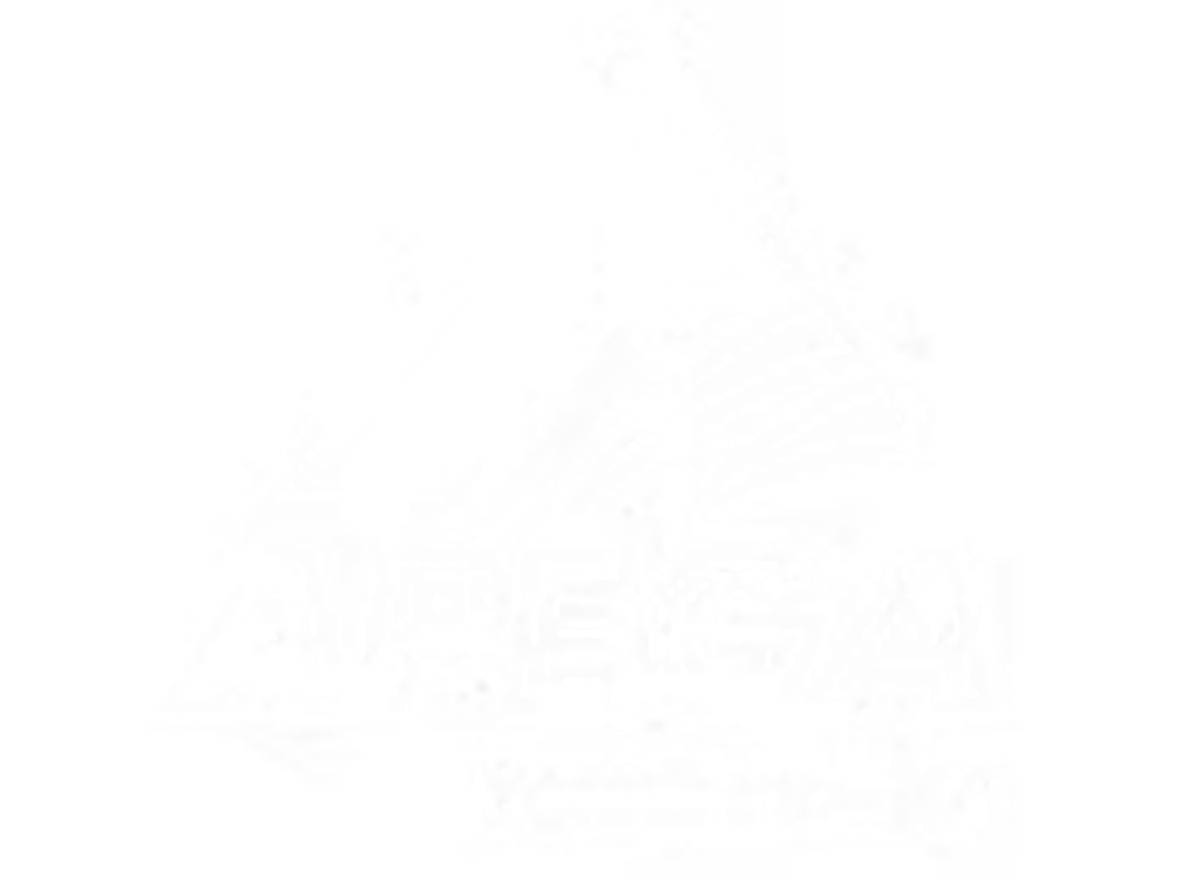 APEGA Permit Holder