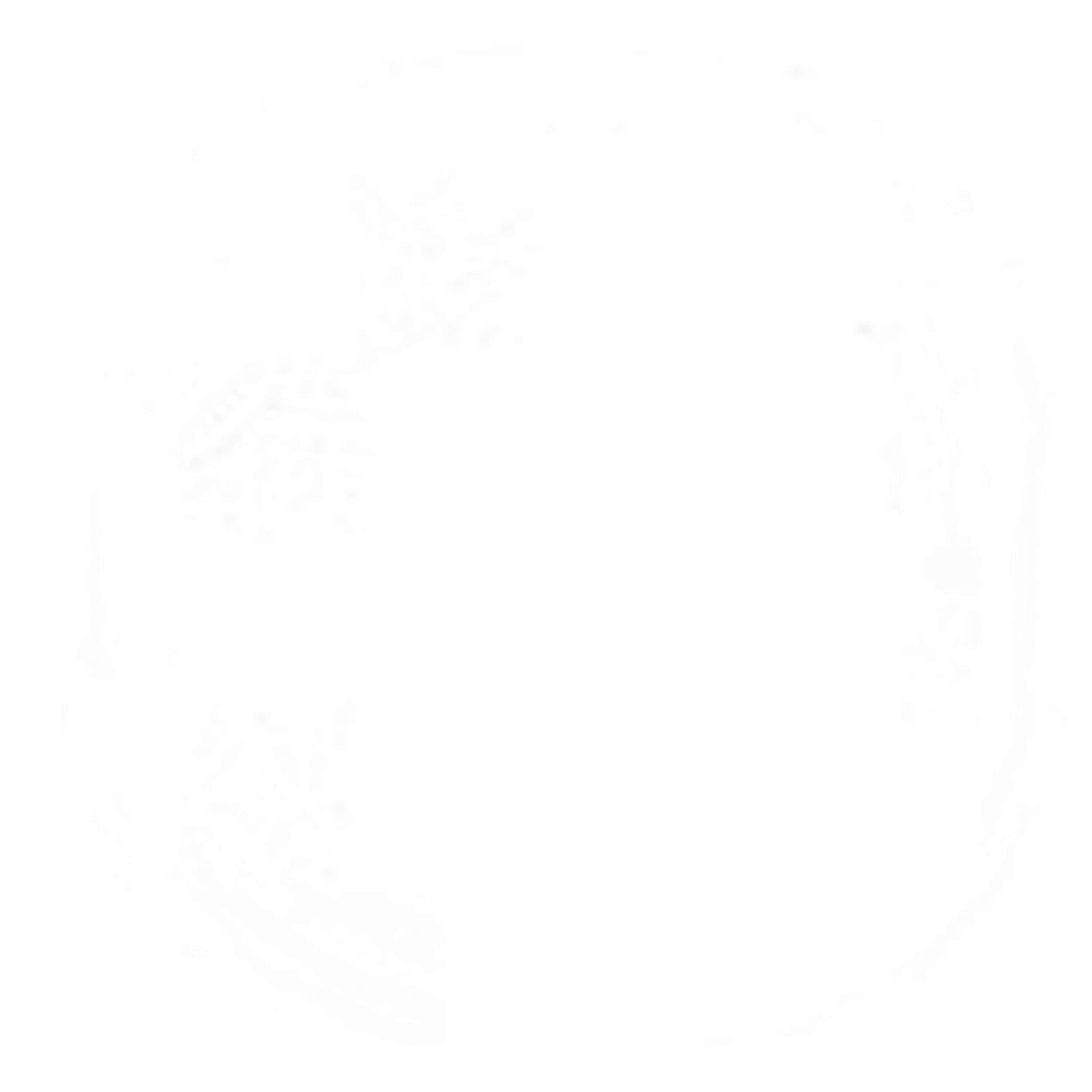COR Certified