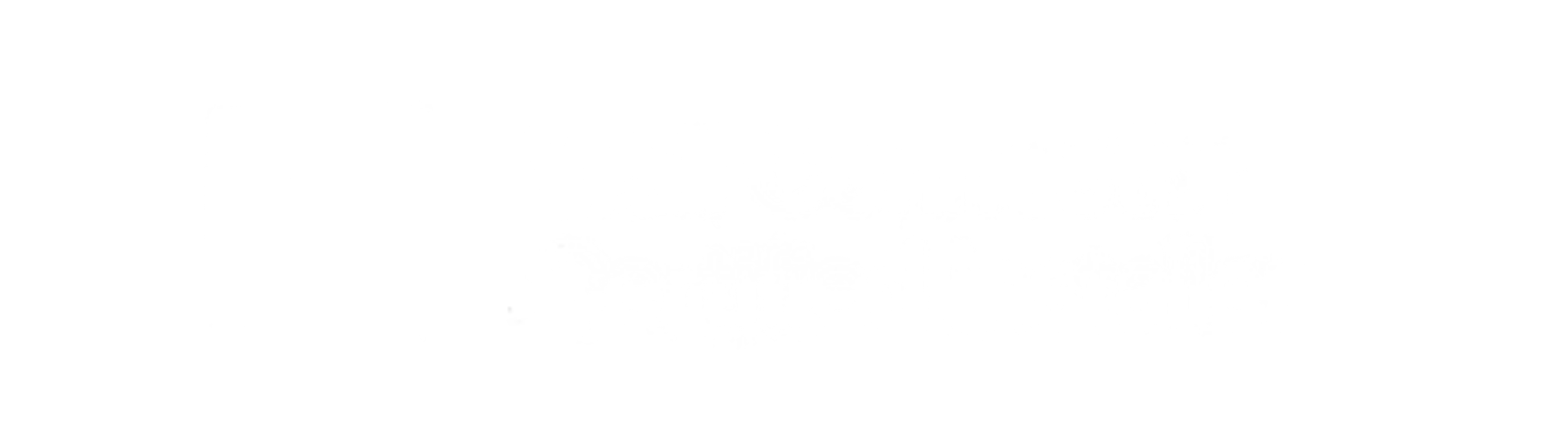 Tesla Wall Connector Certified Installer