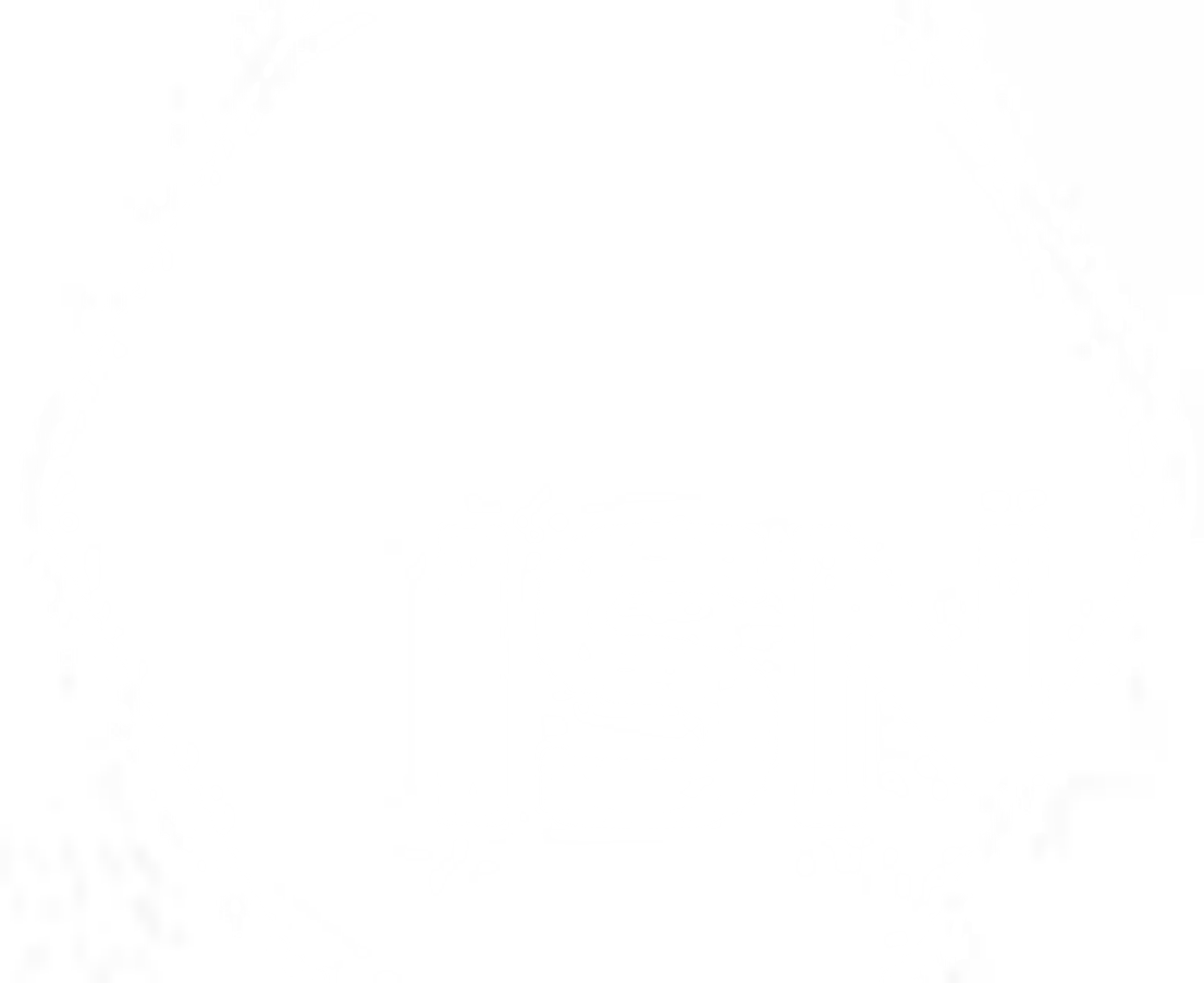ISN