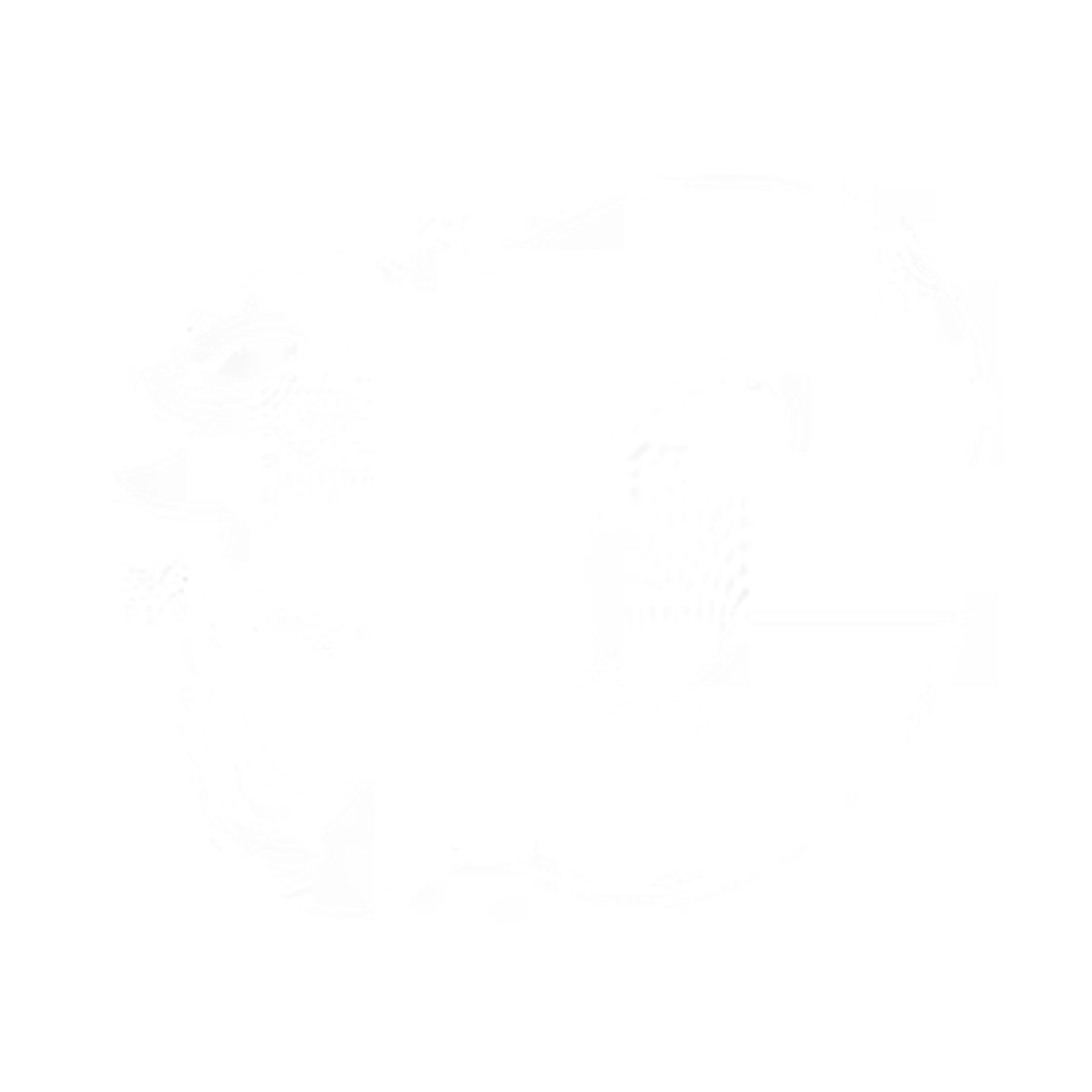 Calgary Flames