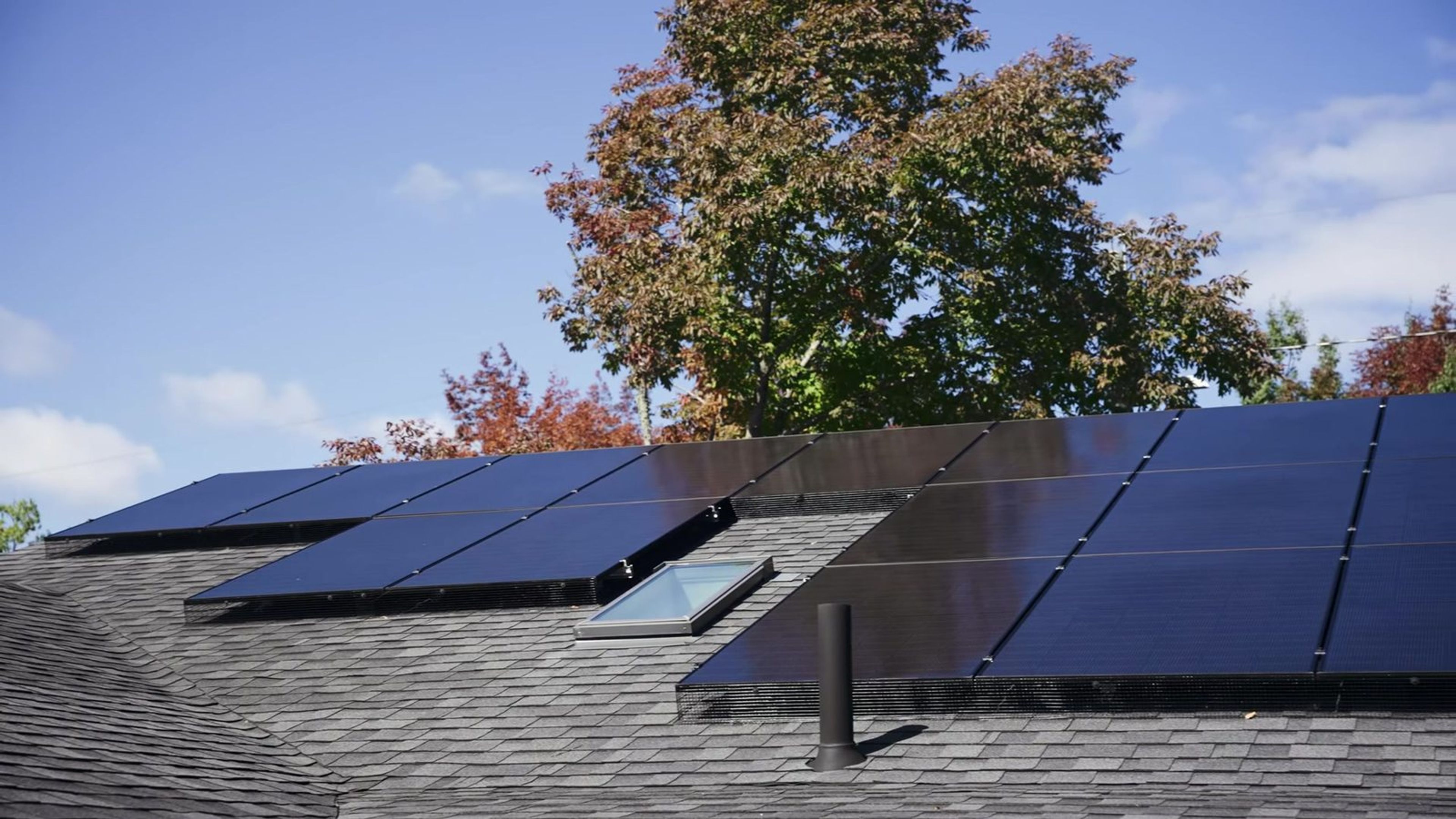 Solar panels and a skylight on Cheryl and Dale’s roof, with an autumn maple behind