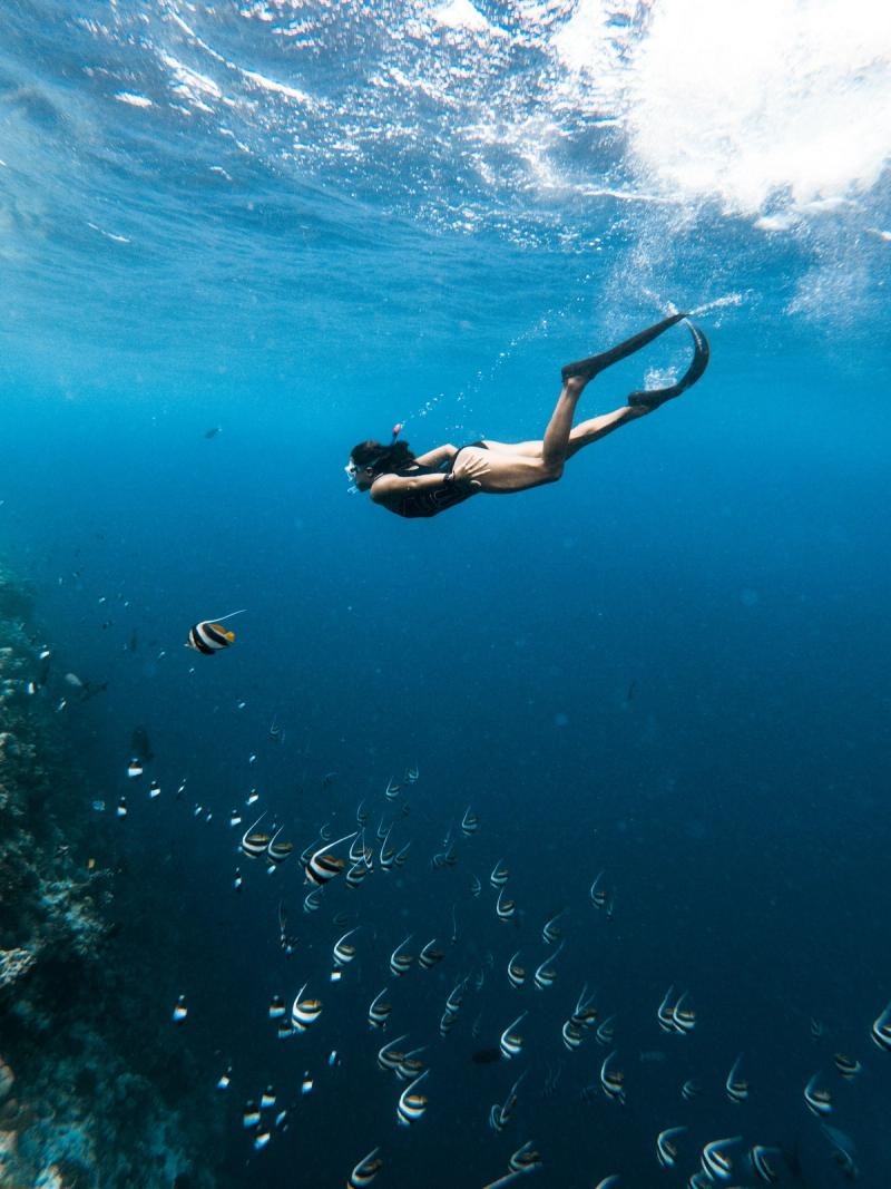 Persoană care face snorkeling printre pești tropicali într-o mare albastră limpede.