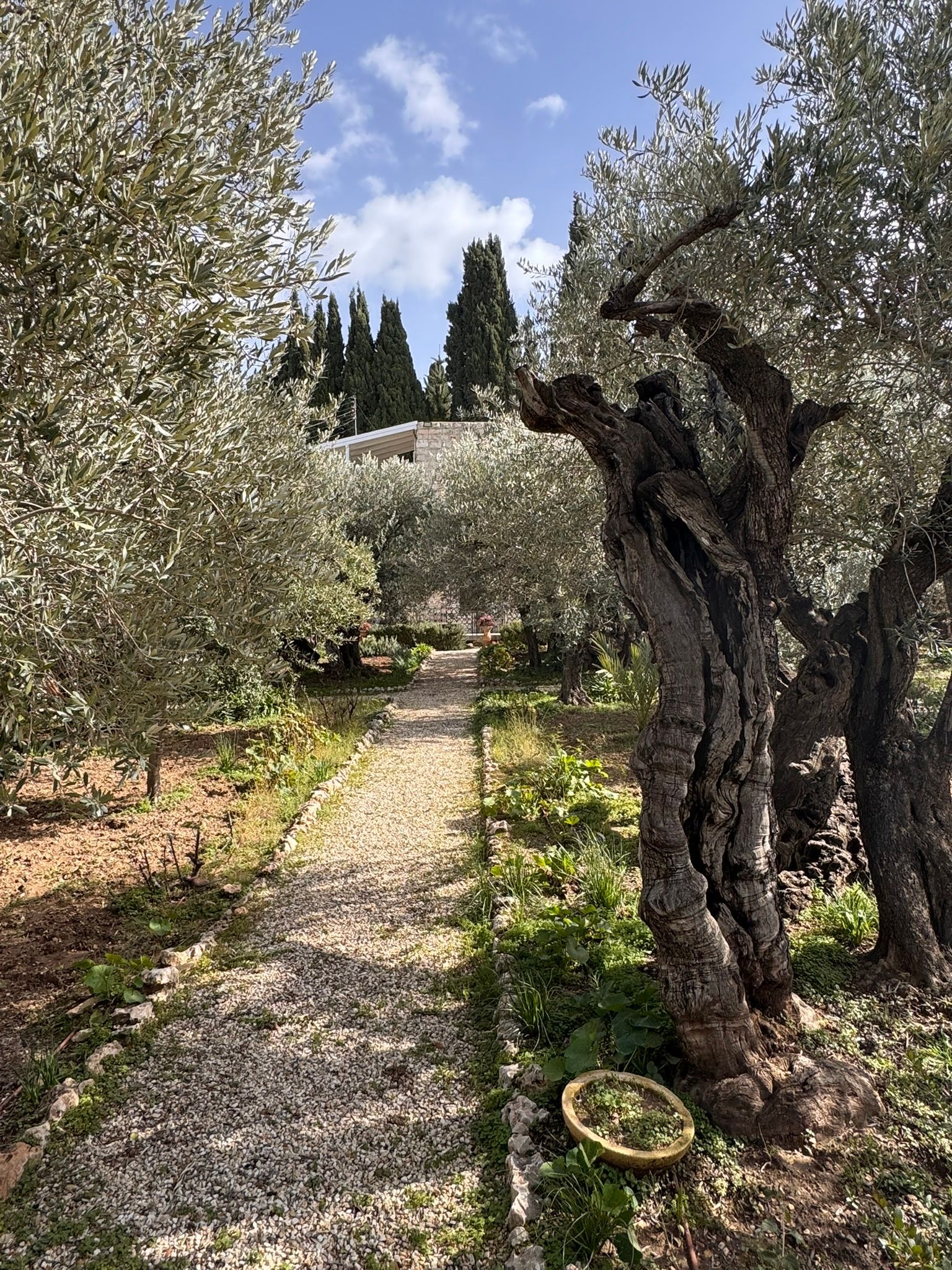 Mount of Olives and the Garden of Gethsemane