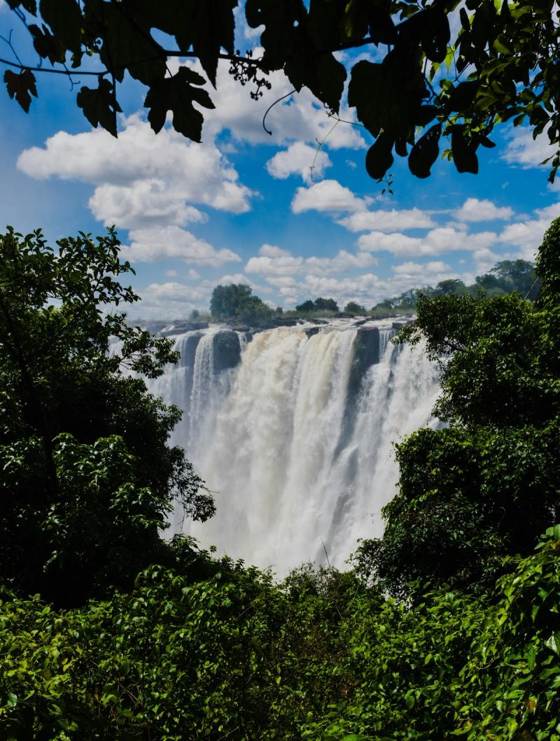 Cascada Victoria din Zambia, văzută printre copaci, cu apă torențială și cer senin.