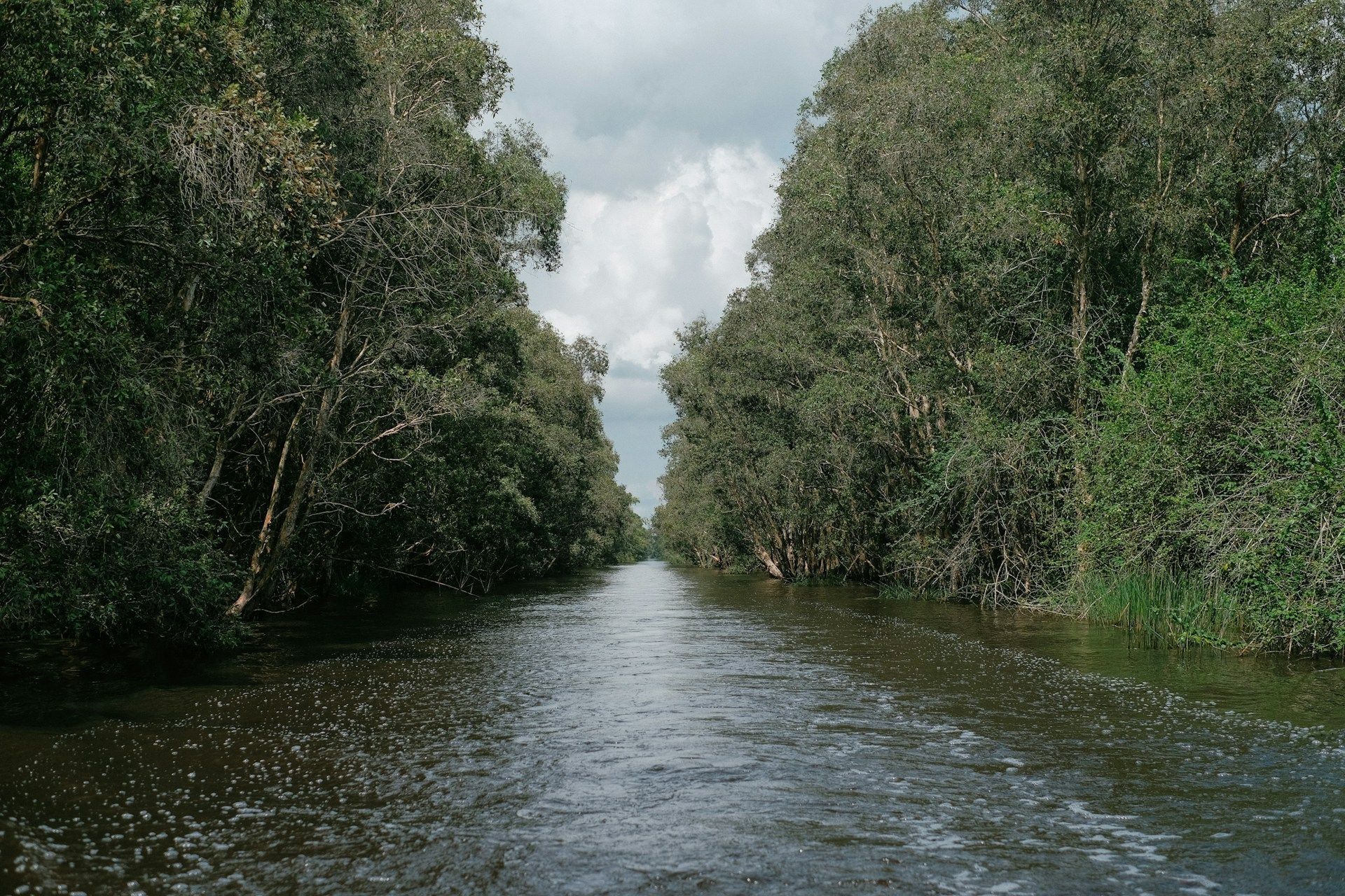 The Danube Delta