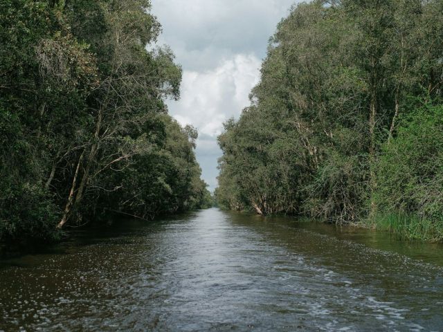 The Danube Delta