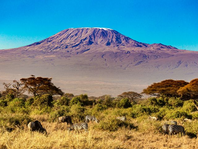 Mount Kilimanjaro seen from Amboseli, with zebras