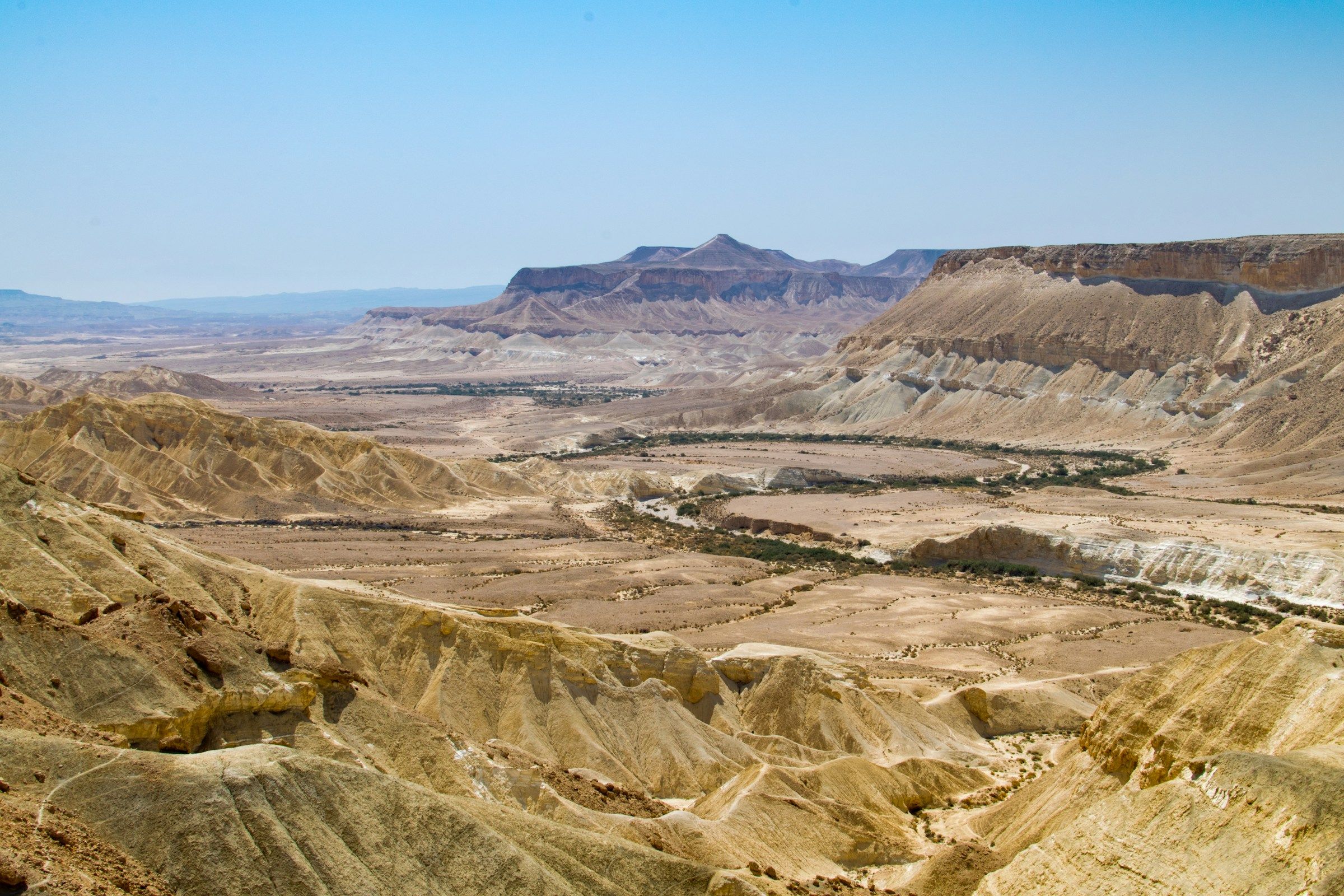The Negev desert