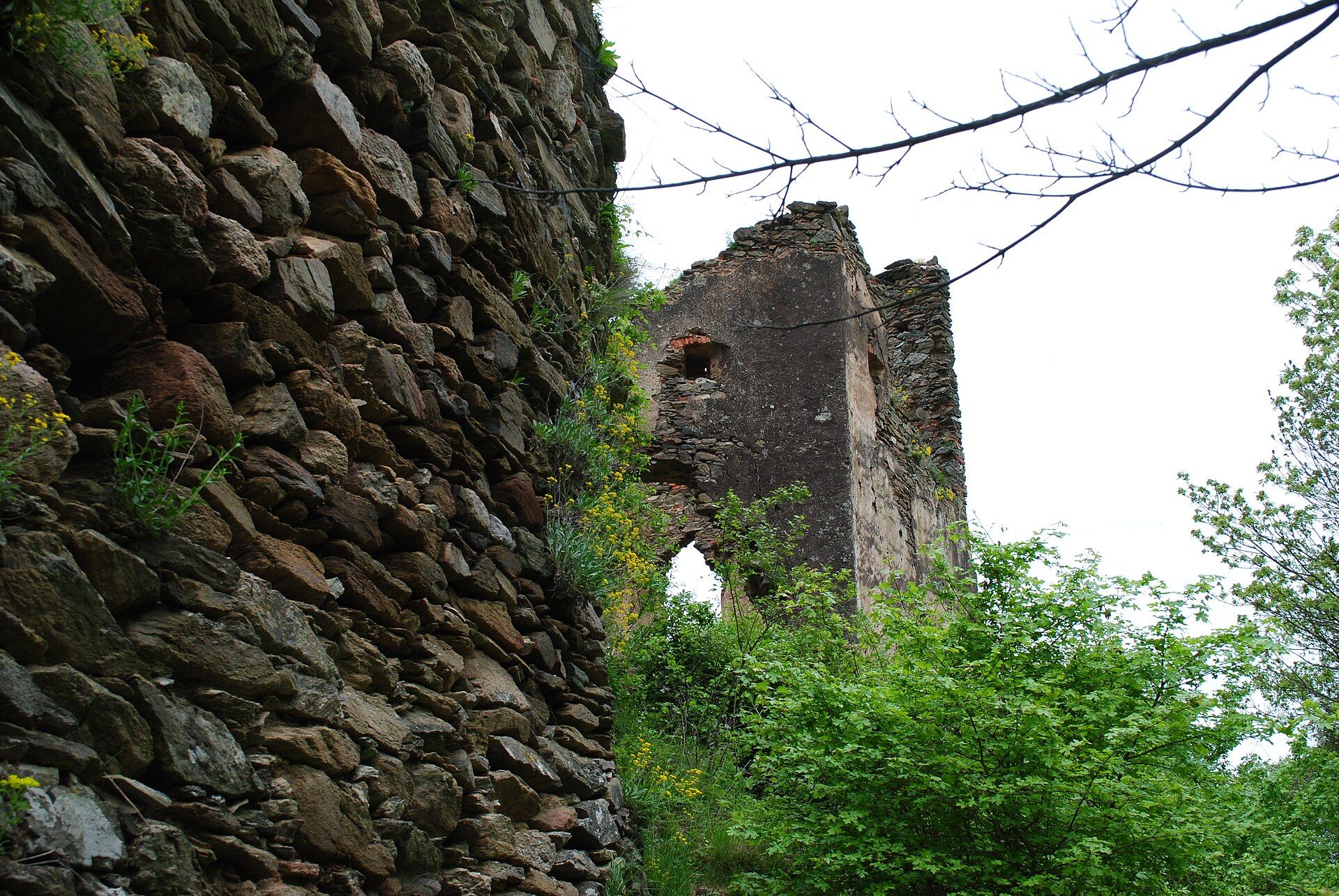 The ruined tower of Colț Fortress