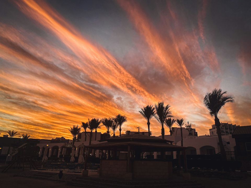 Sunset and palm trees in Sharm el Sheikh