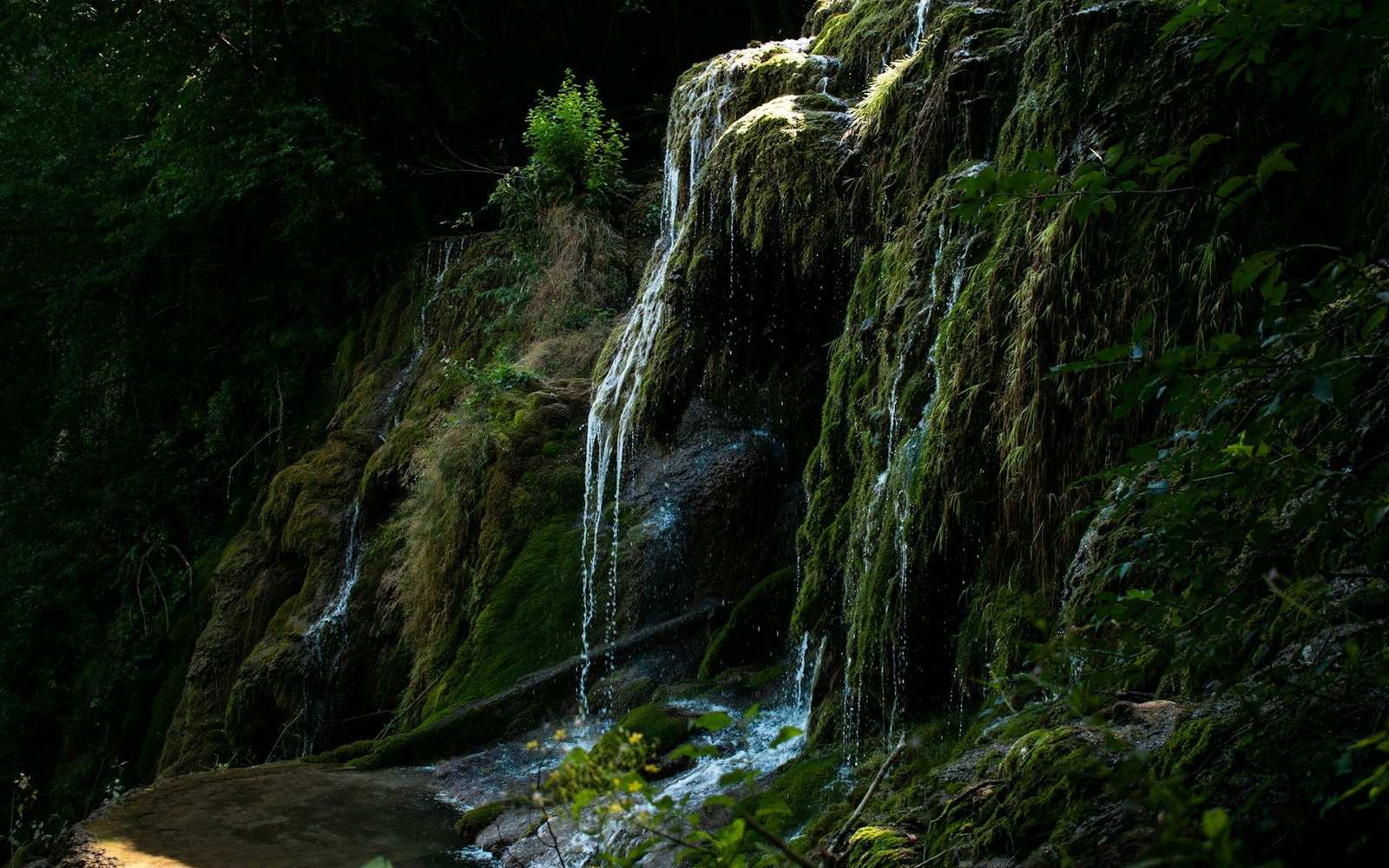 The Krushuna waterfalls over moss-covered rocks