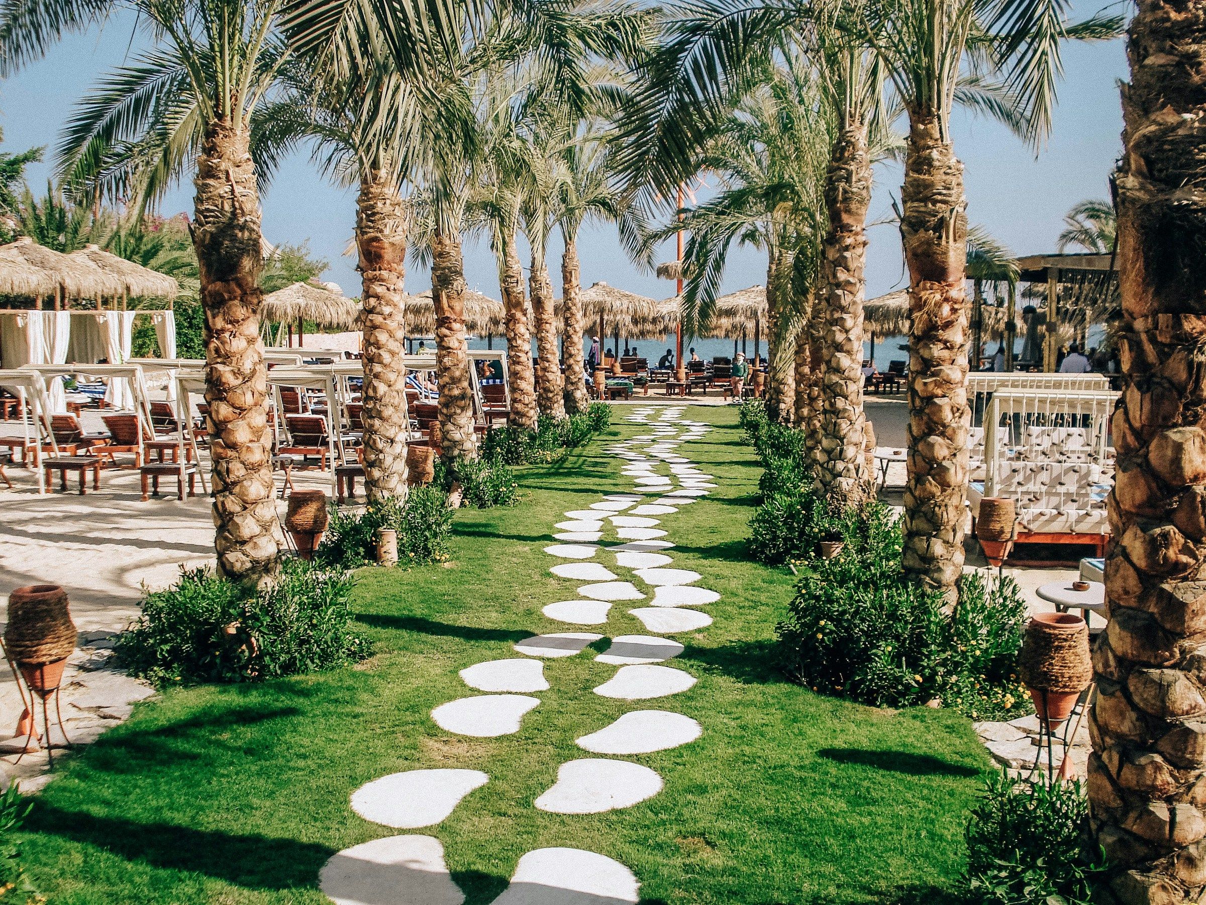 A palm-lined beach in Hurghada