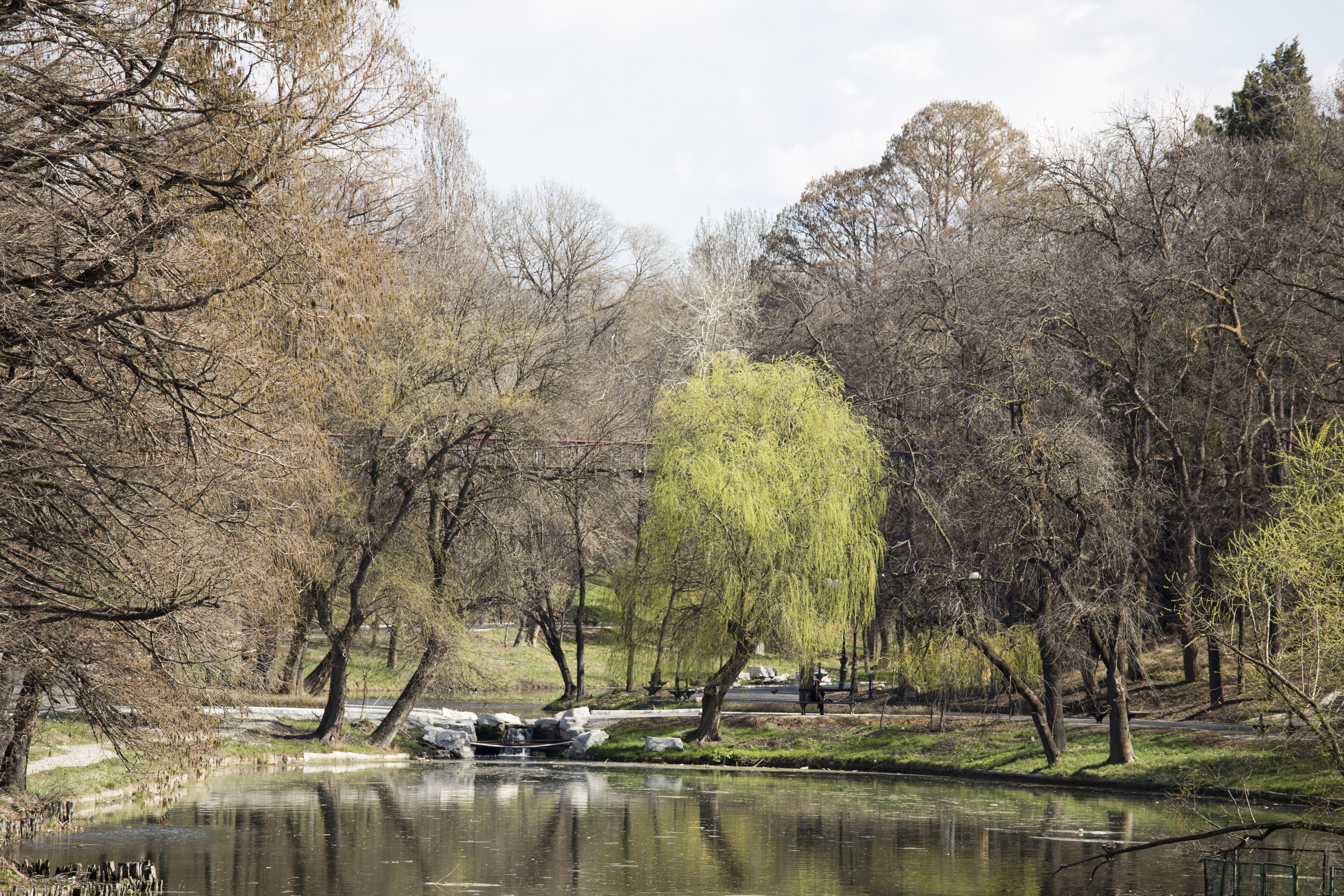 Nicolae Romanescu Park