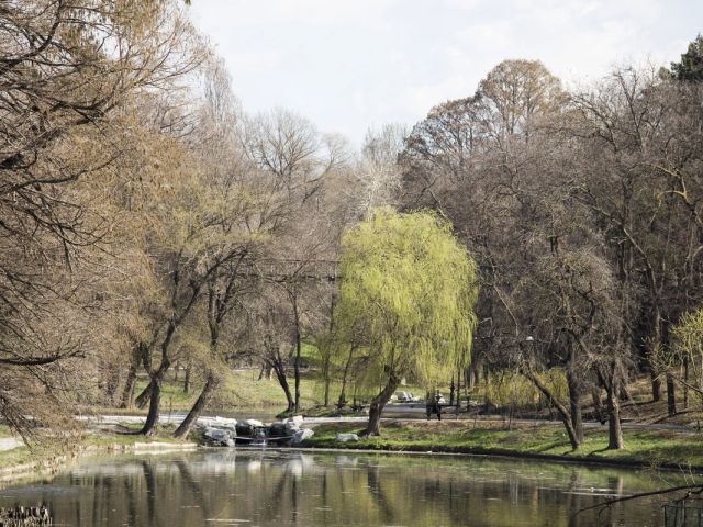 Nicolae Romanescu Park