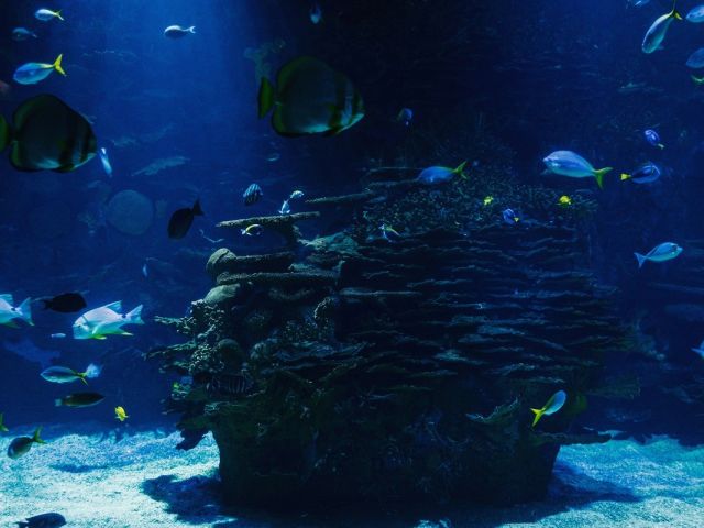 Antalya Aquarium