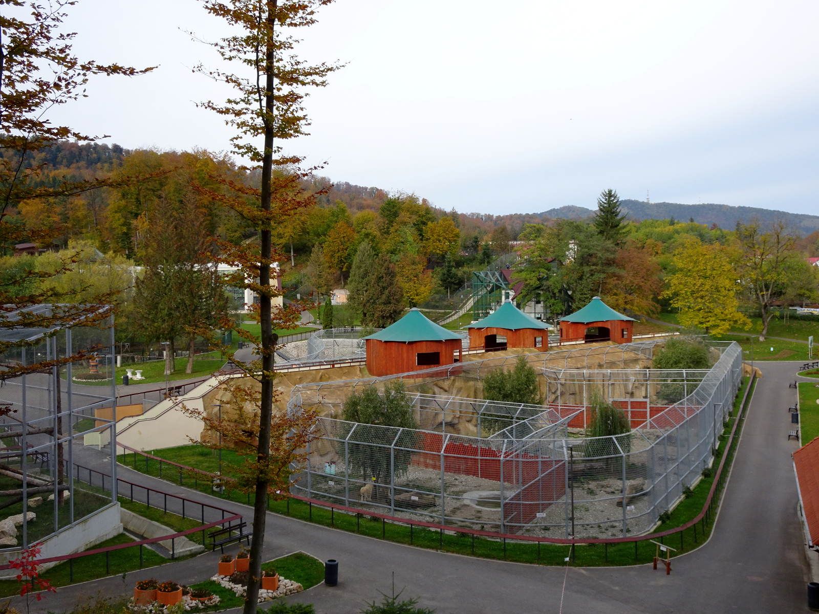 Brașov Zoo with the mountains behind