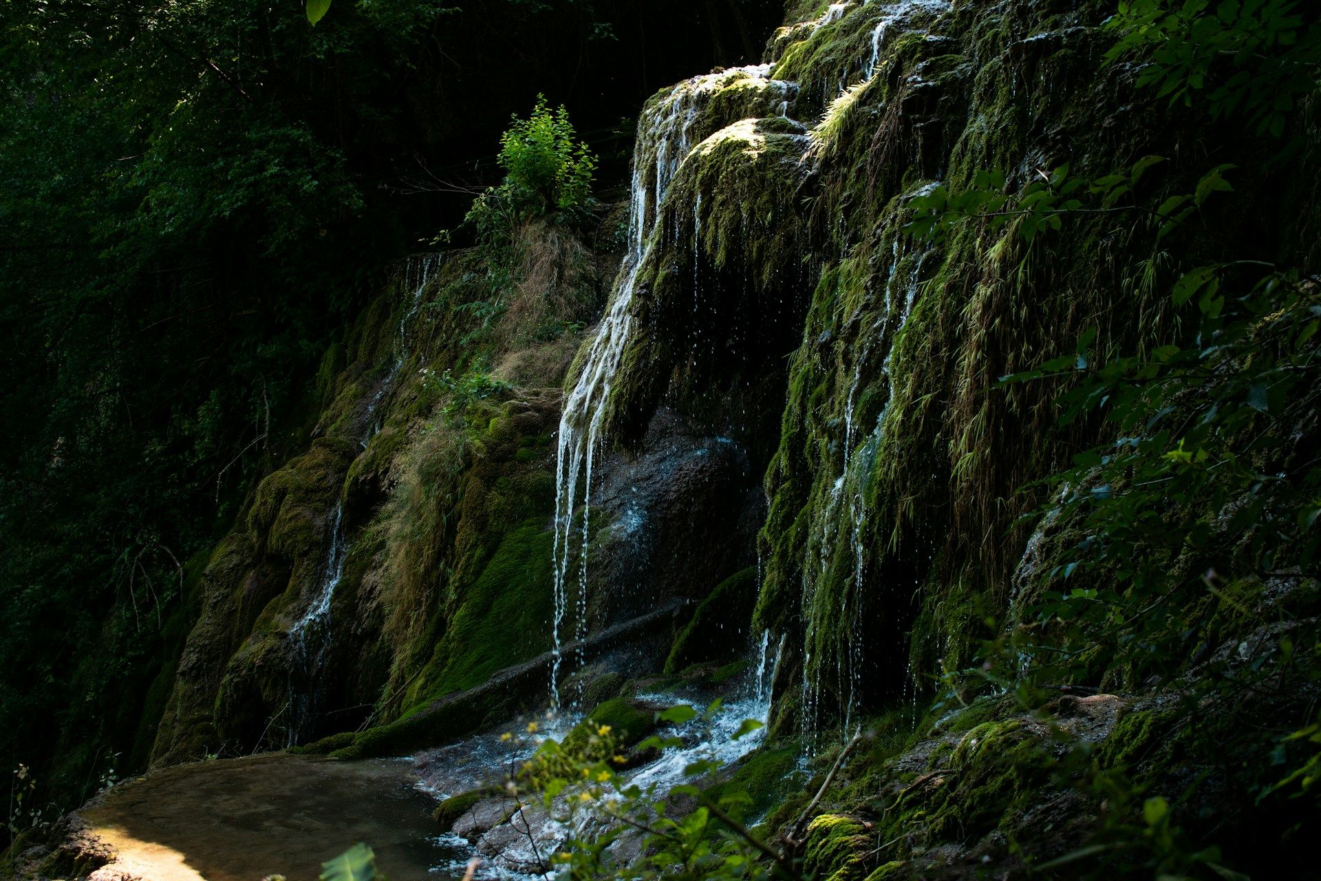 Cascadă acoperită de mușchi la Krushuna, Bulgaria, înconjurată de vegetație deasă.