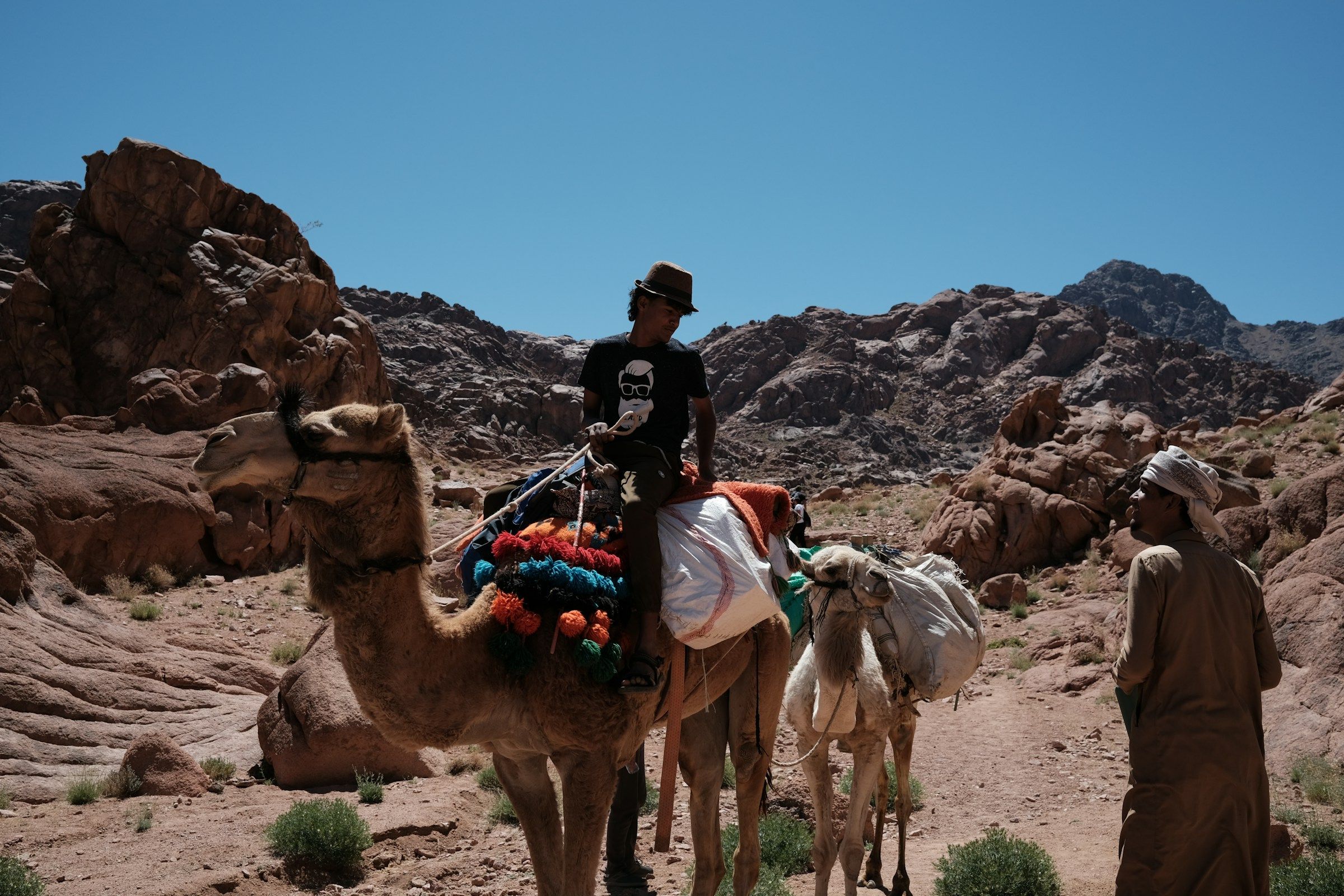 A Bedouin with camels in the Sinai desert