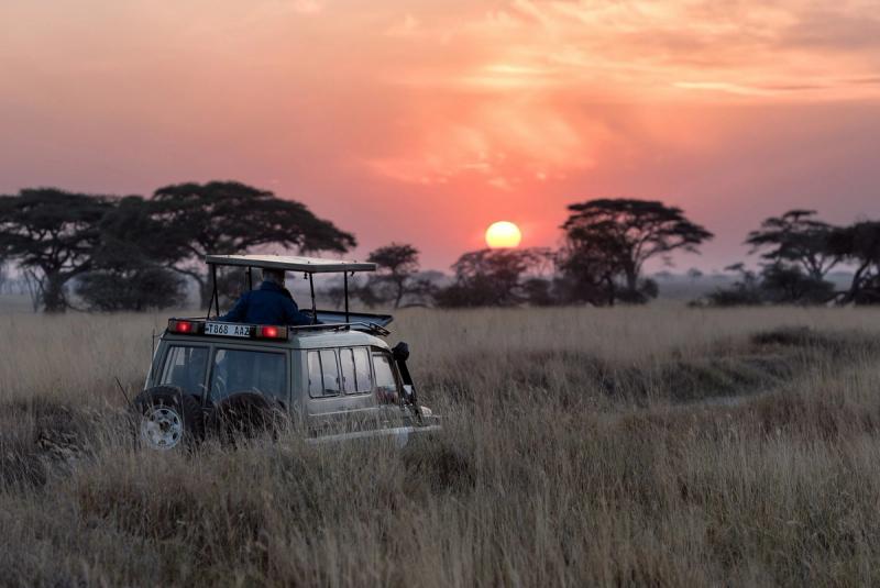 Mașină de safari în Serengeti, Tanzania, la apus, printre ierburi și copaci de savană.