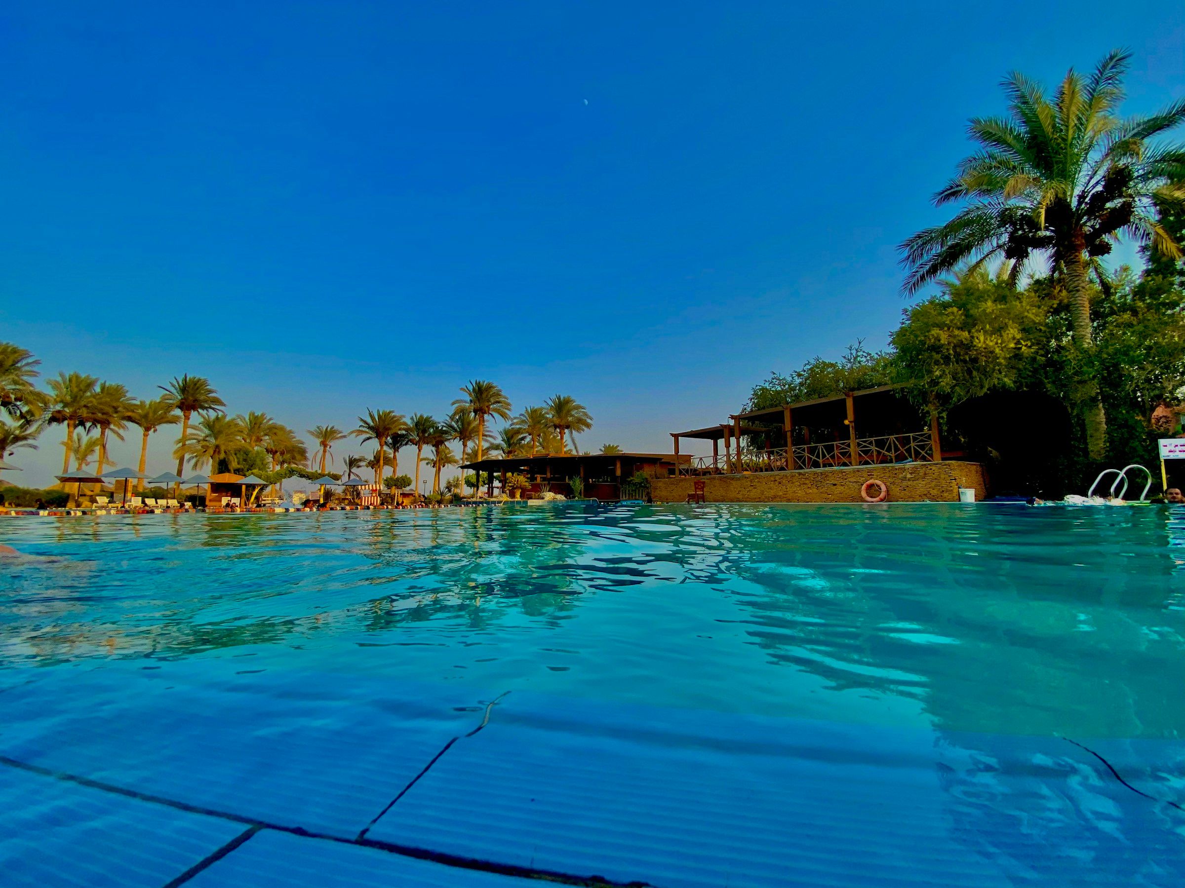 A pool at a Red Sea resort