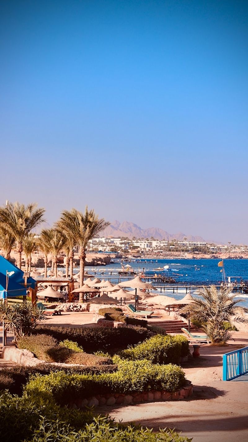 Plajă cu palmieri și pontoane în Sharm El Sheikh, Egipt, lângă Marea Roșie.