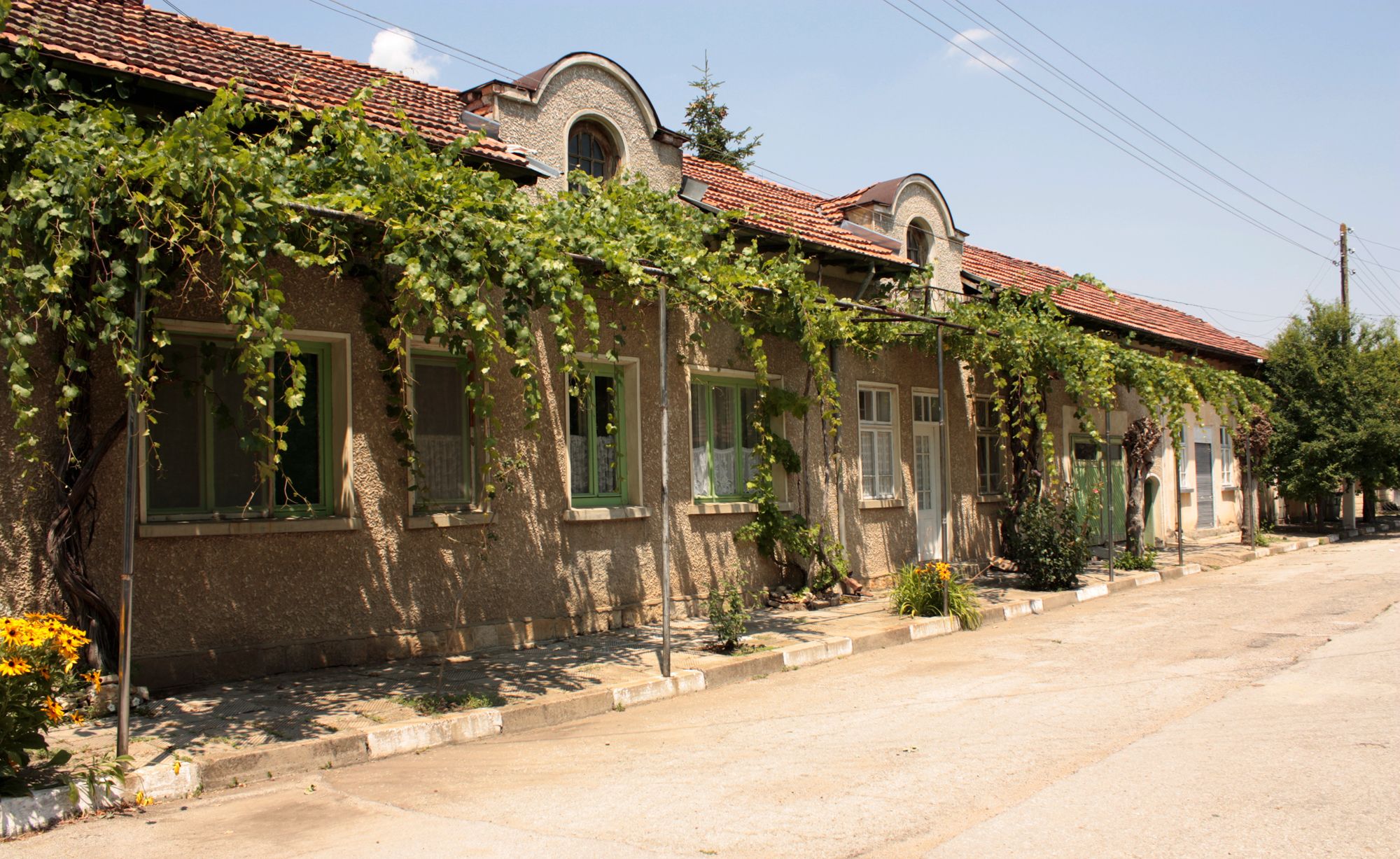 Clădiri vechi în satul Krushuna