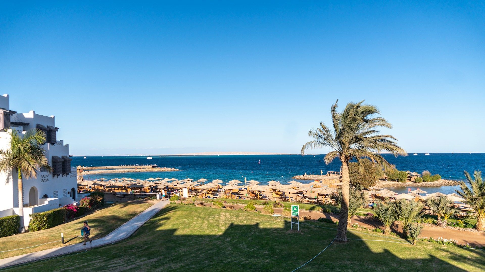 A palm-lined beach in Hurghada, on the Red Sea
