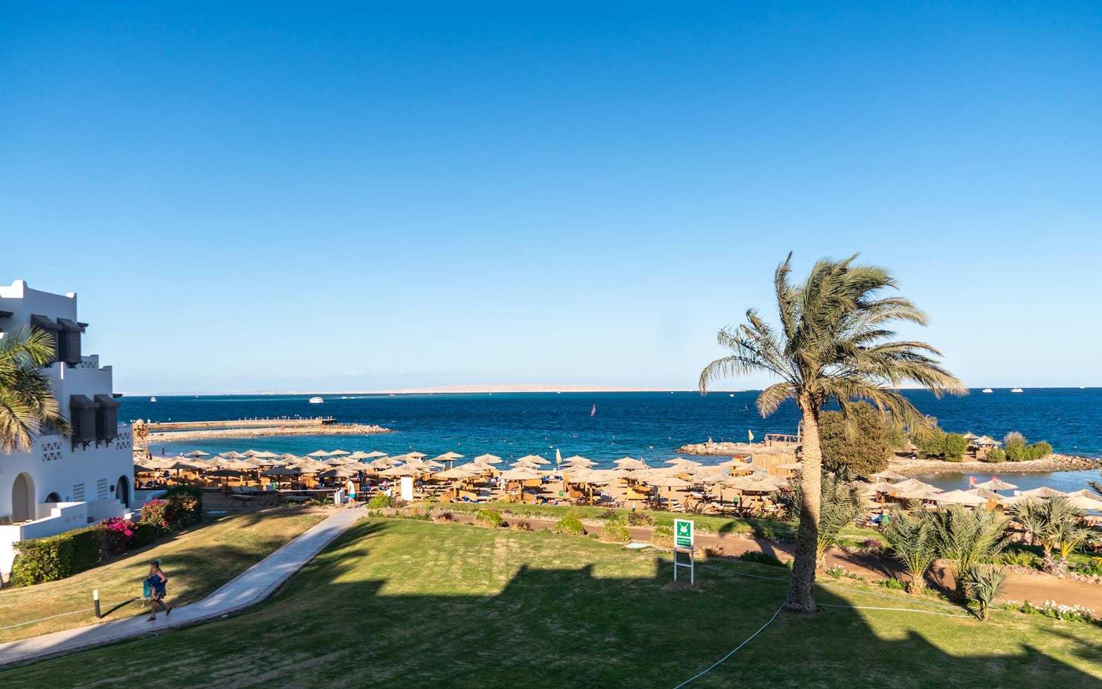 A palm-lined beach in Hurghada, on the Red Sea