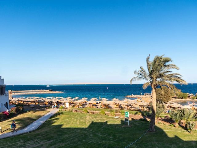 A palm-lined beach in Hurghada, on the Red Sea