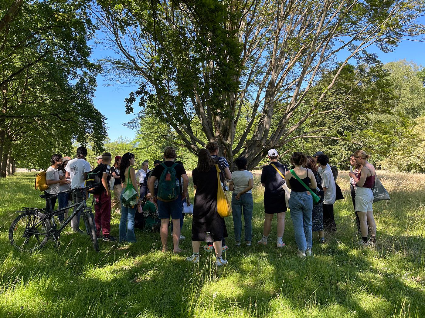 Group gathers to chat around one of the oldest trees in Karlsaue Park. Part of the activity Walking as Possible Dialogues, by Más Arte Más Acción, at documenta15 in Kassel. Photo: C&amp;AL