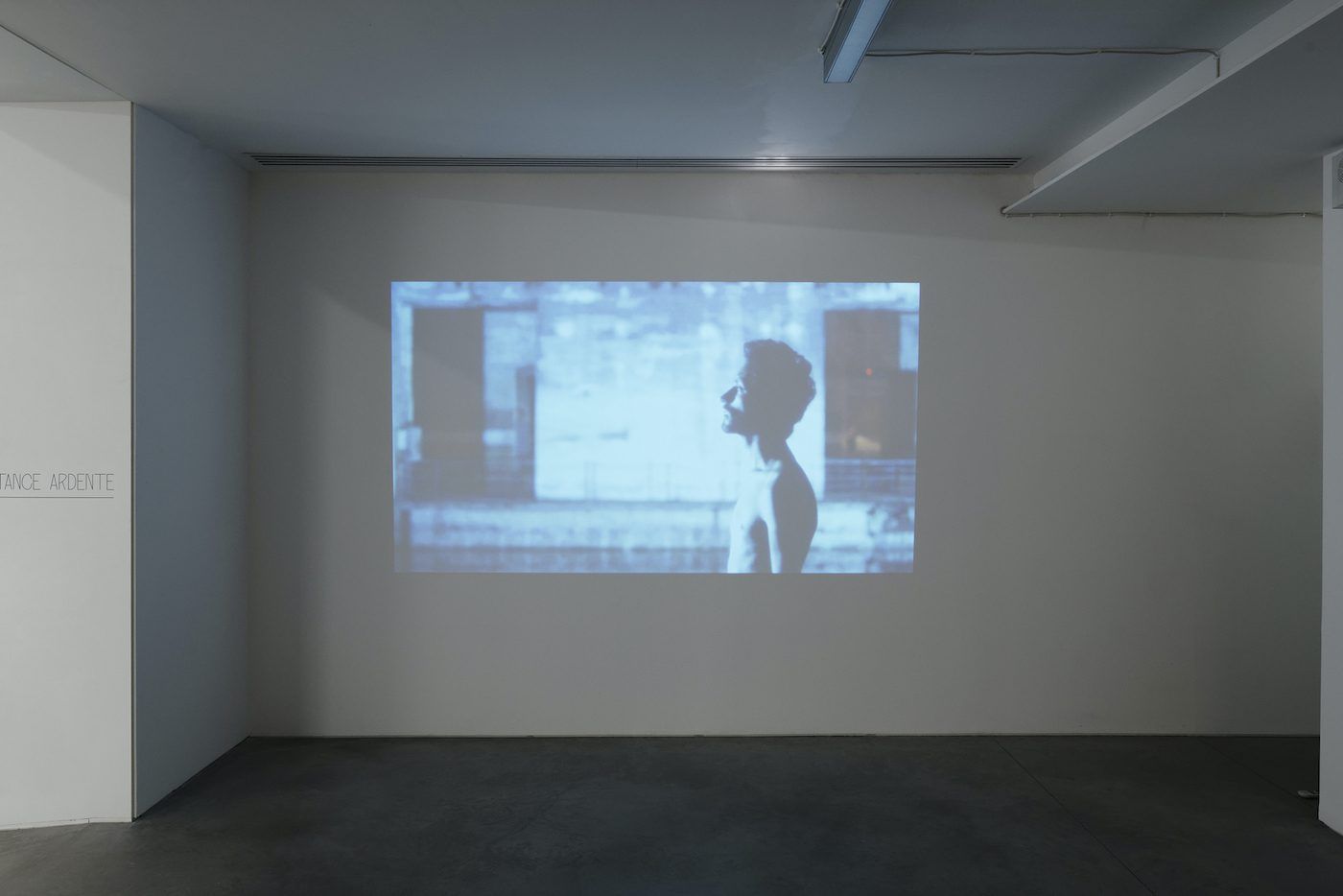 Installation view “Distance ardente”, 2020. Photo Aurélien Mole.