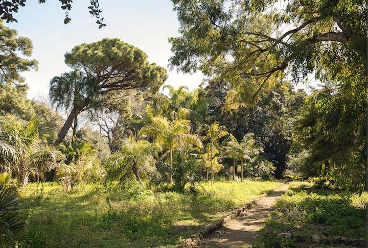 Manifesta 12: The Planetary Garden. Cultivating Coexistence