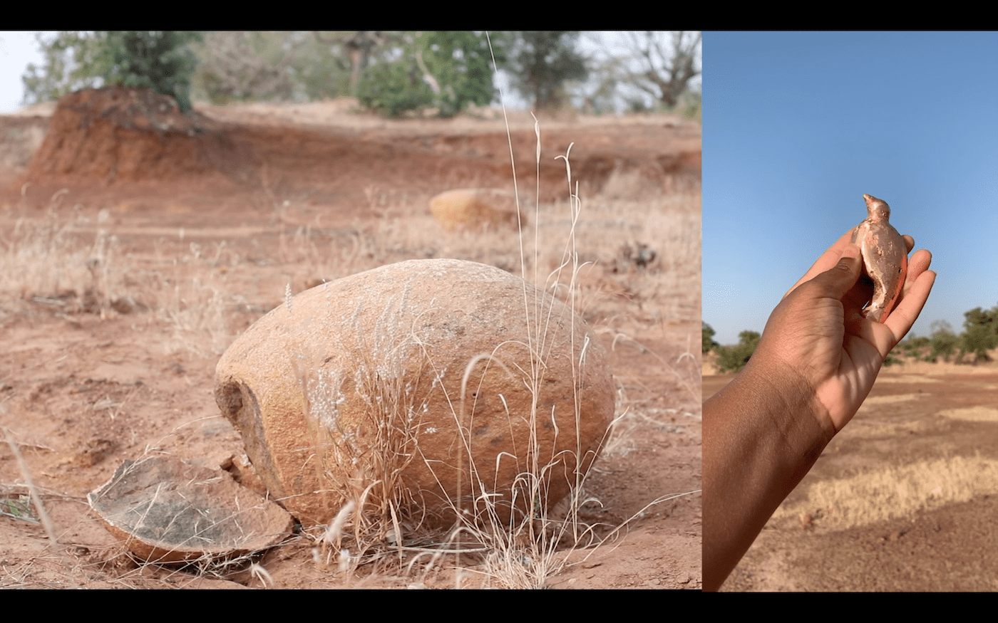 Biennale für Freiburg