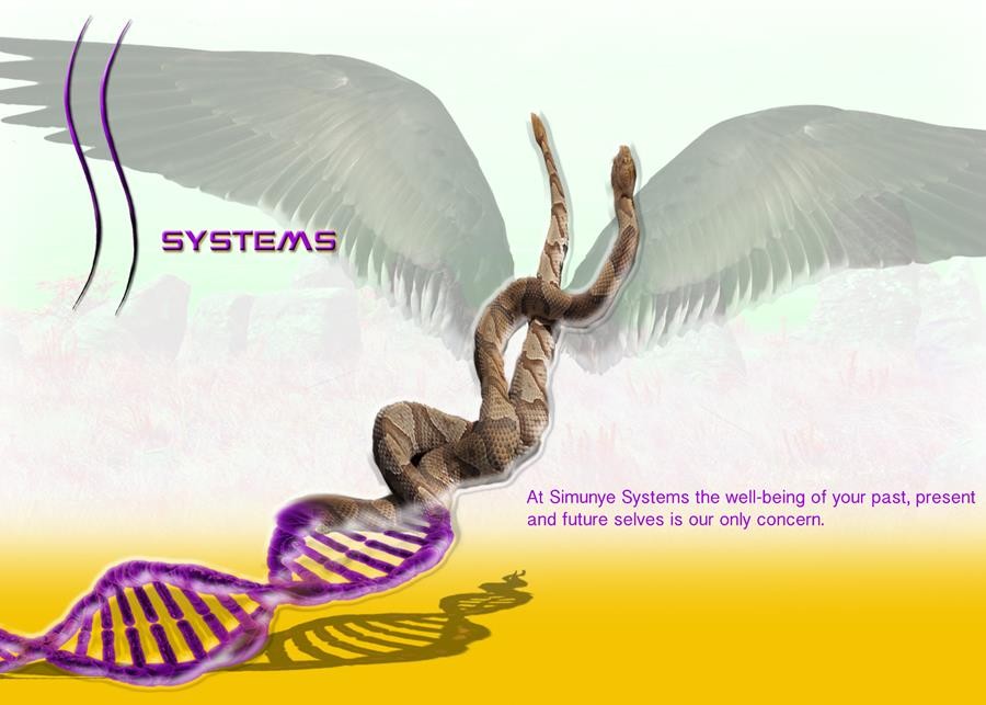 Bogosi Sekhukhuni : Simunye Summit 2010