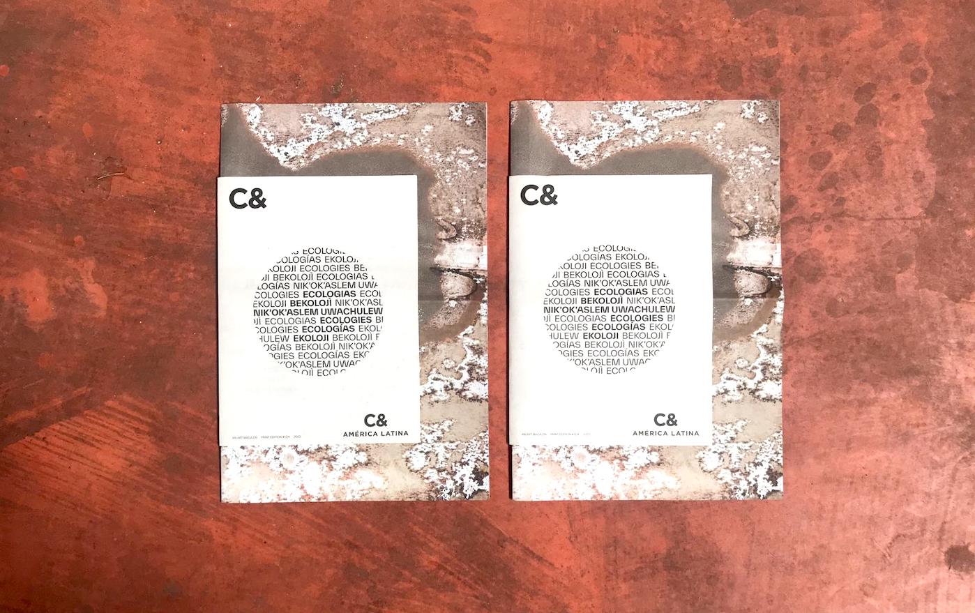 C& and C&AL Print Issue #12/4: Ecologies - Contemporary And