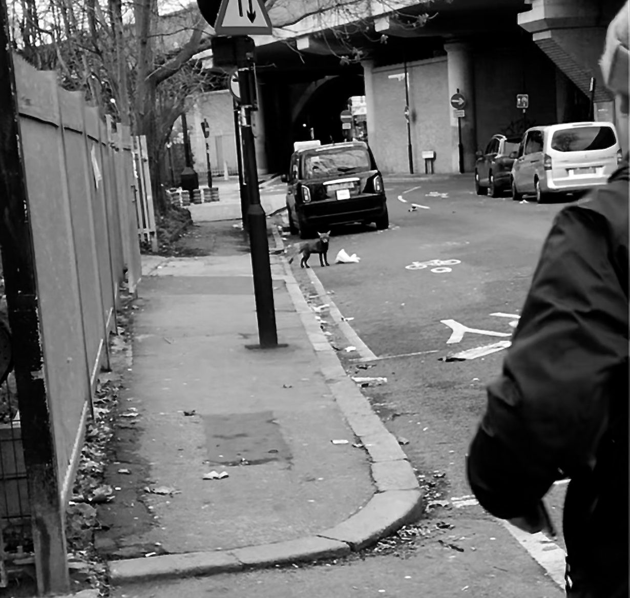 Arrhythmia – Writing / Publishing Opportunity