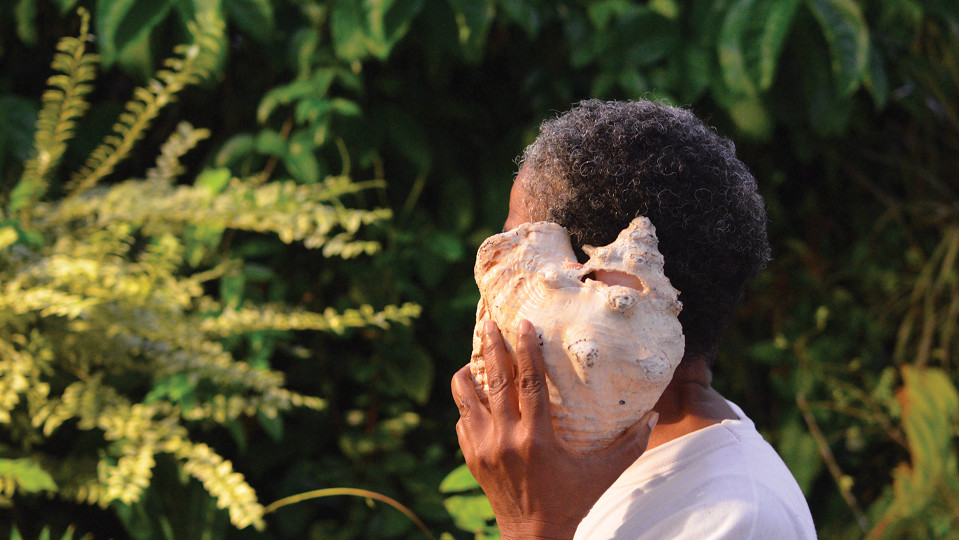 I killed the butterfly in my ear - Minia Biabiany