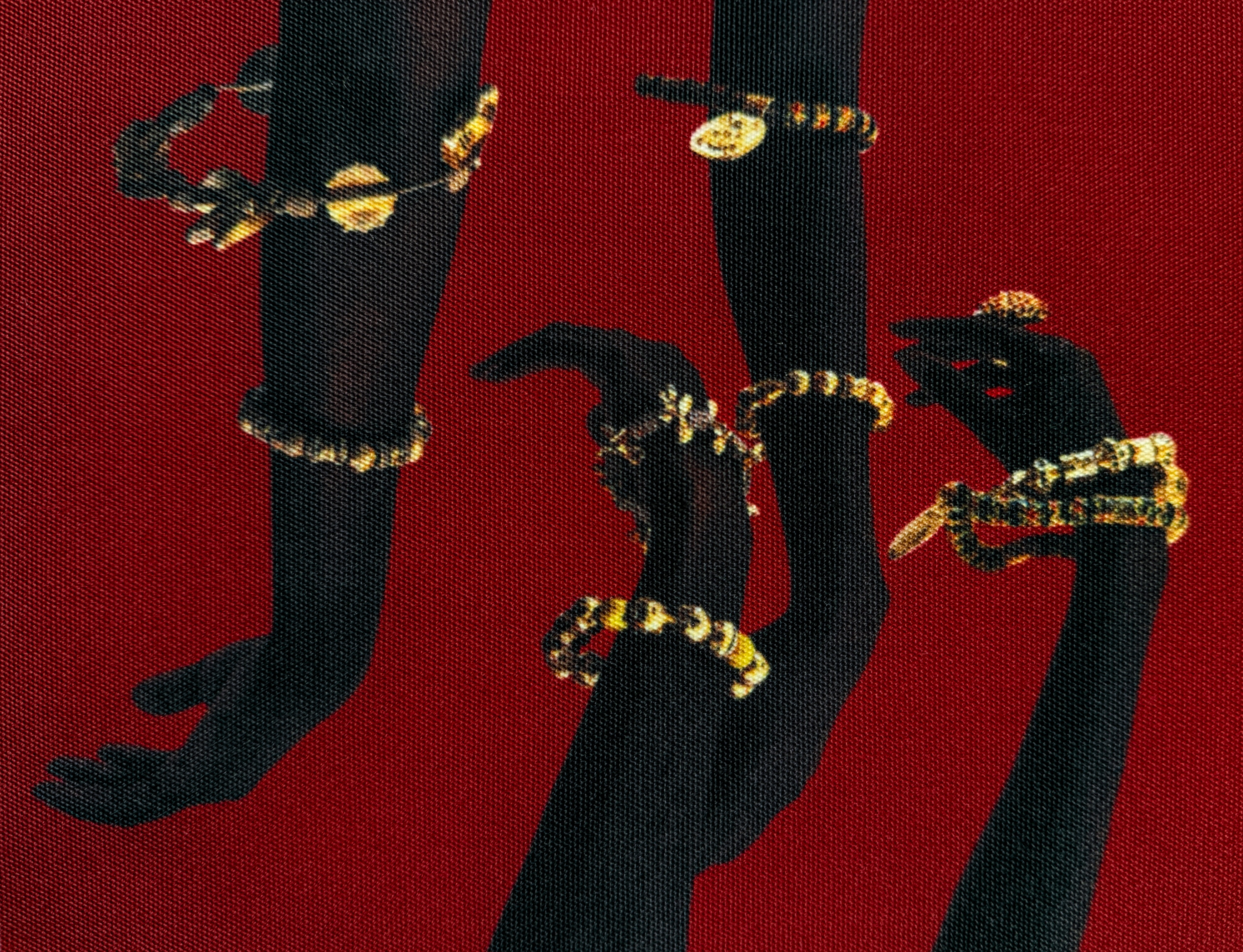 Black-clad limbs with coiled gold snake jewelry on a red background.
