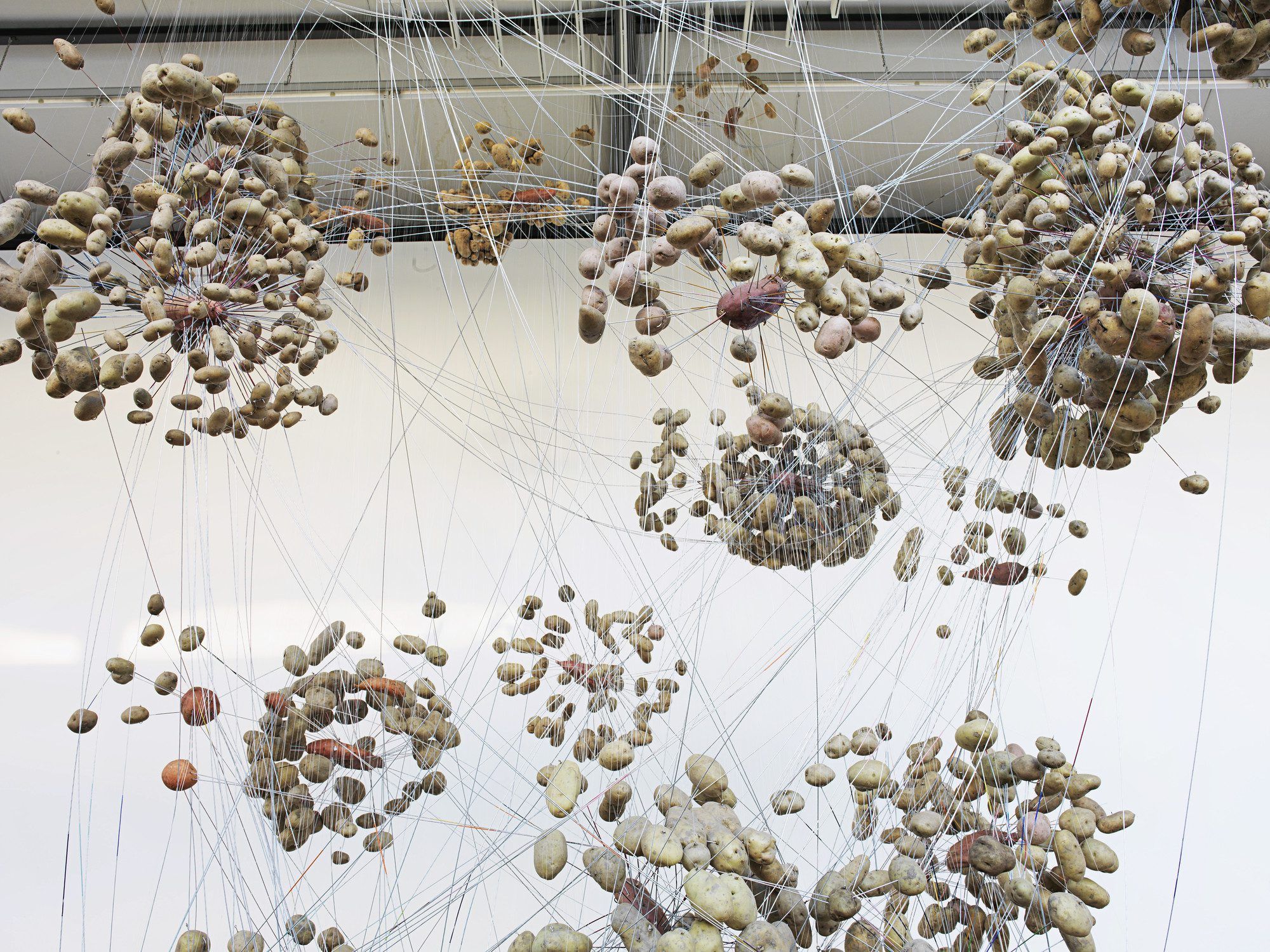 Trainings for the Not-Yet: An exhibition as a series of trainings for a future of being together otherwise